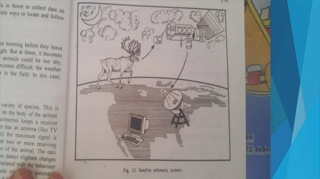 Methods Of Studying Animal_Behaviour [IN FIELD - slide 12 of 13
