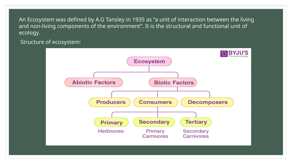 Structure and function of Ecosystem An Ecosystem - slide 2 of 7