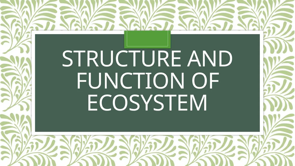Structure and function of Ecosystem An Ecosystem - slide 1 of 7
