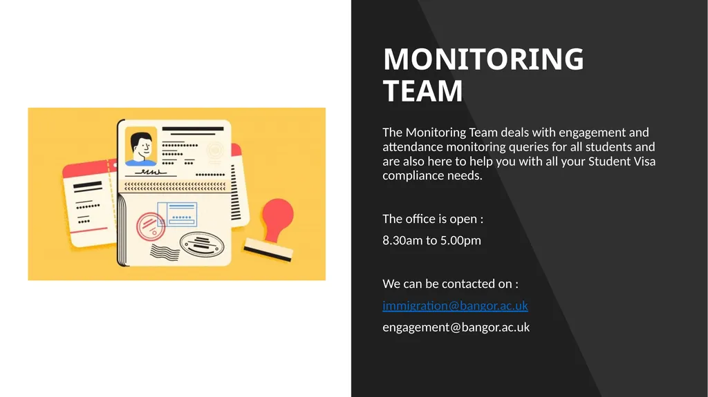 MONITORING TEAM The Monitoring Team deals with