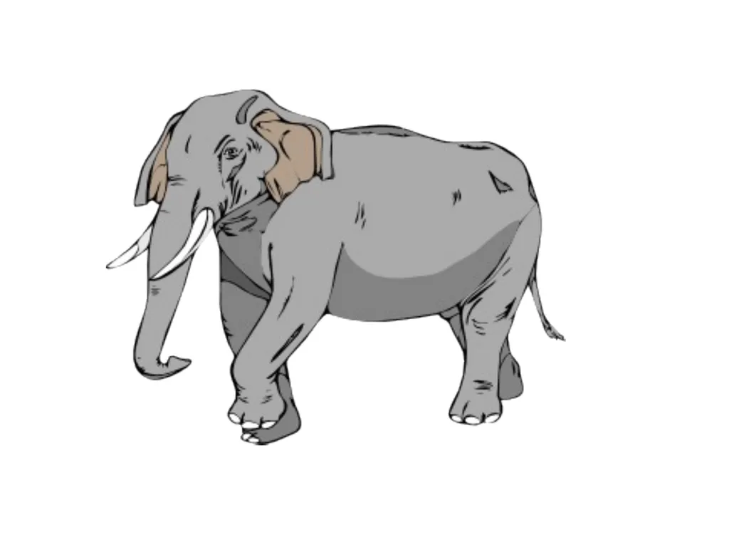 Year 1 UNIT 9 Jungle animals Presentation designed - slide 4 of 8