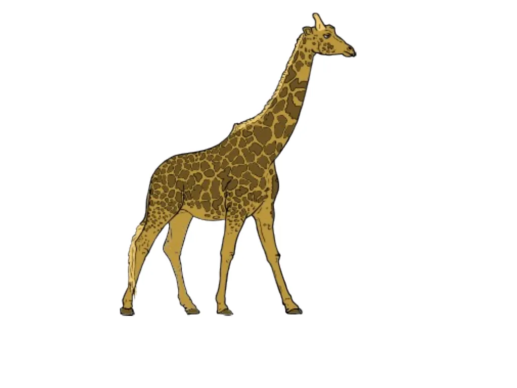 Year 1 UNIT 9 Jungle animals Presentation designed - slide 5 of 8