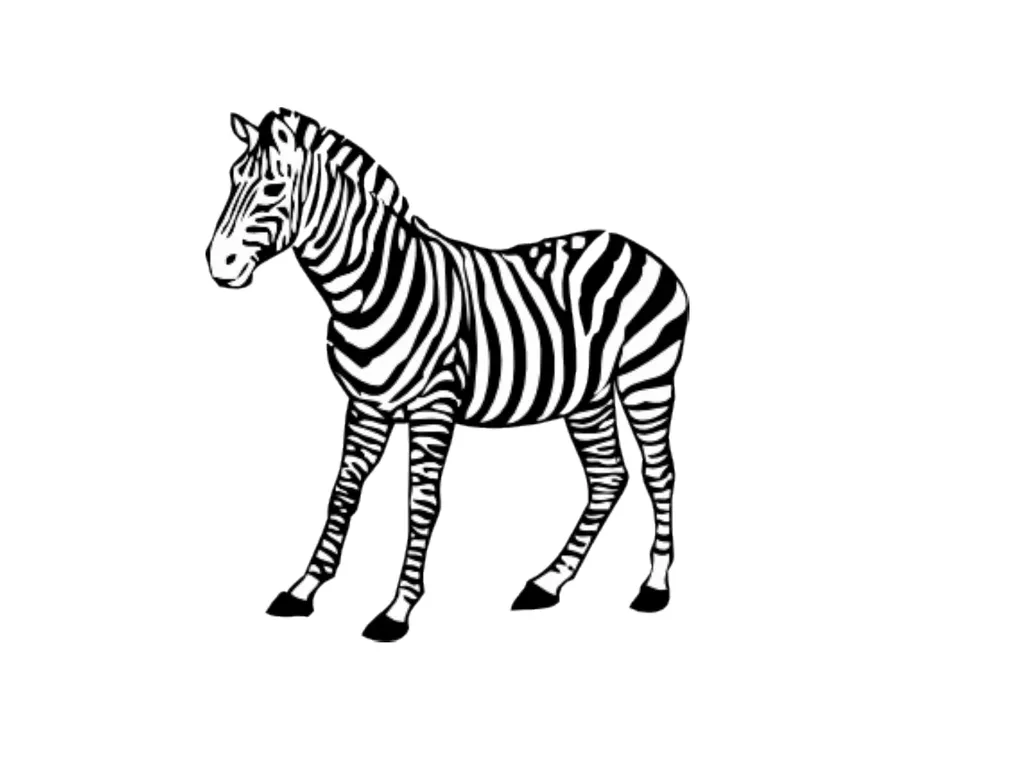 Year 1 UNIT 9 Jungle animals Presentation designed - slide 7 of 8