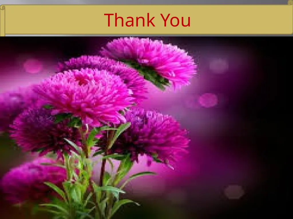 Welcome Introduction Teacher’s Introduction Amena - slide 23 of 23