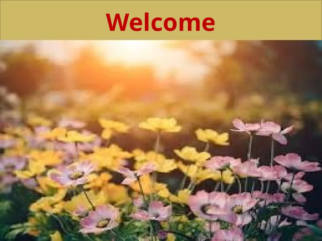 Welcome Introduction Teacher’s Introduction Amena - slide 1 of 23