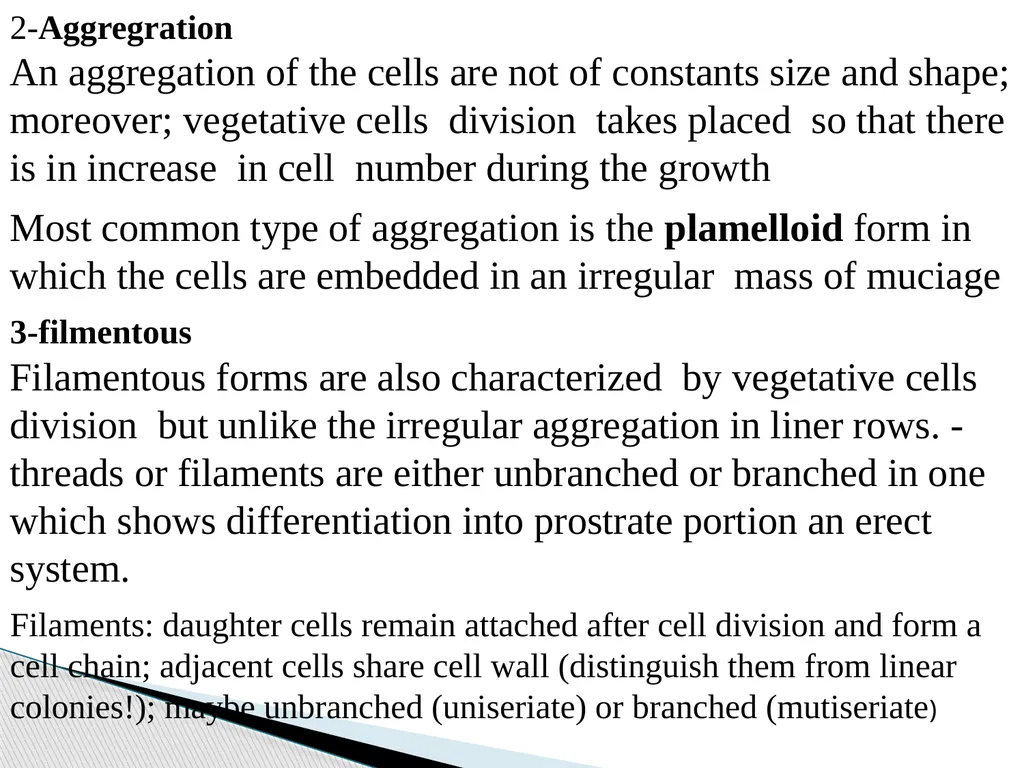 Algae An alga (singular for algae) is a plant-like - slide 18 of 37