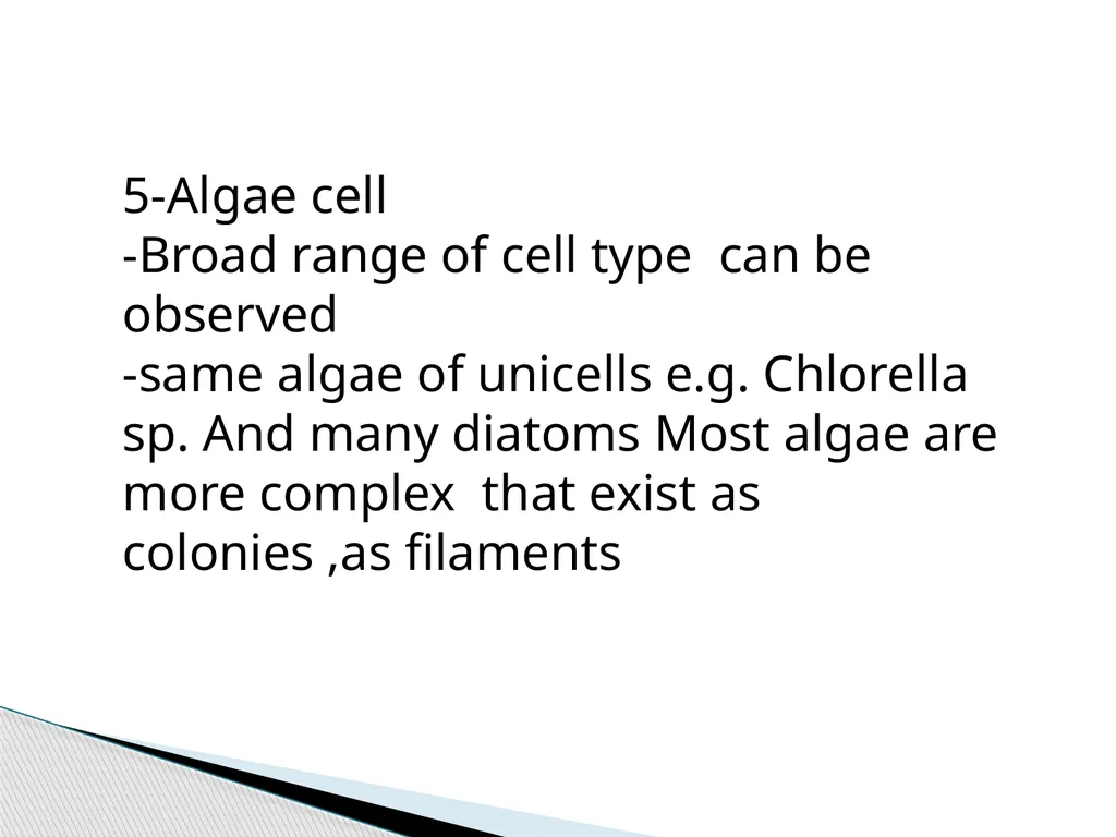 Algae An alga (singular for algae) is a plant-like - slide 29 of 37