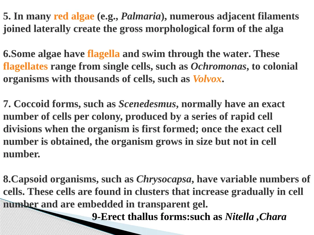 Algae An alga (singular for algae) is a plant-like - slide 23 of 37