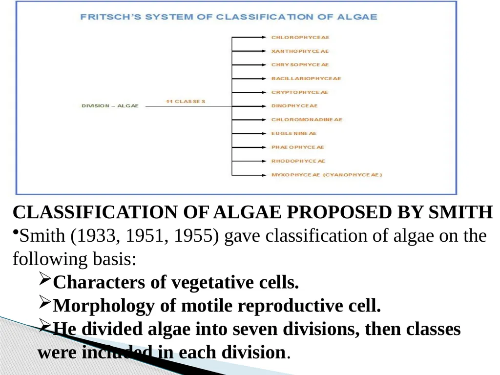 Algae An alga (singular for algae) is a plant-like - slide 31 of 37