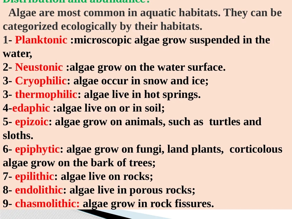 Algae An alga (singular for algae) is a plant-like - slide 10 of 37