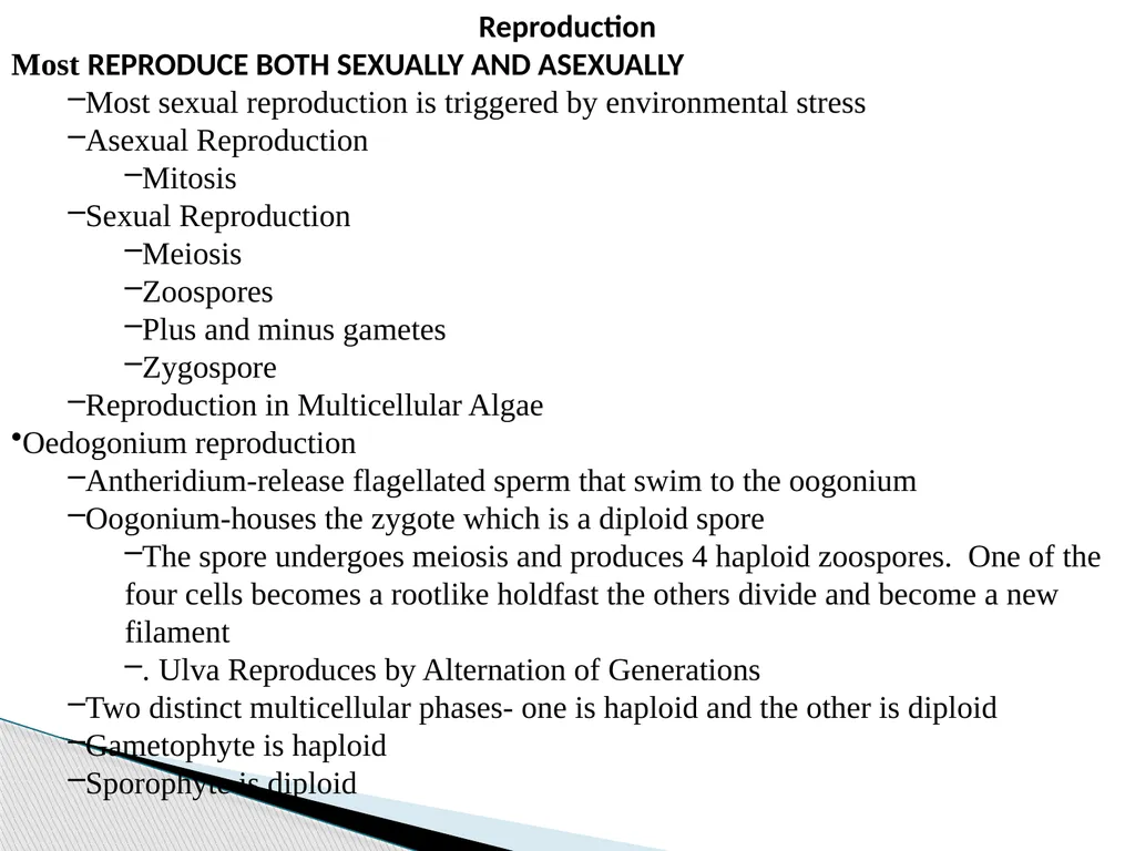 Algae An alga (singular for algae) is a plant-like - slide 33 of 37