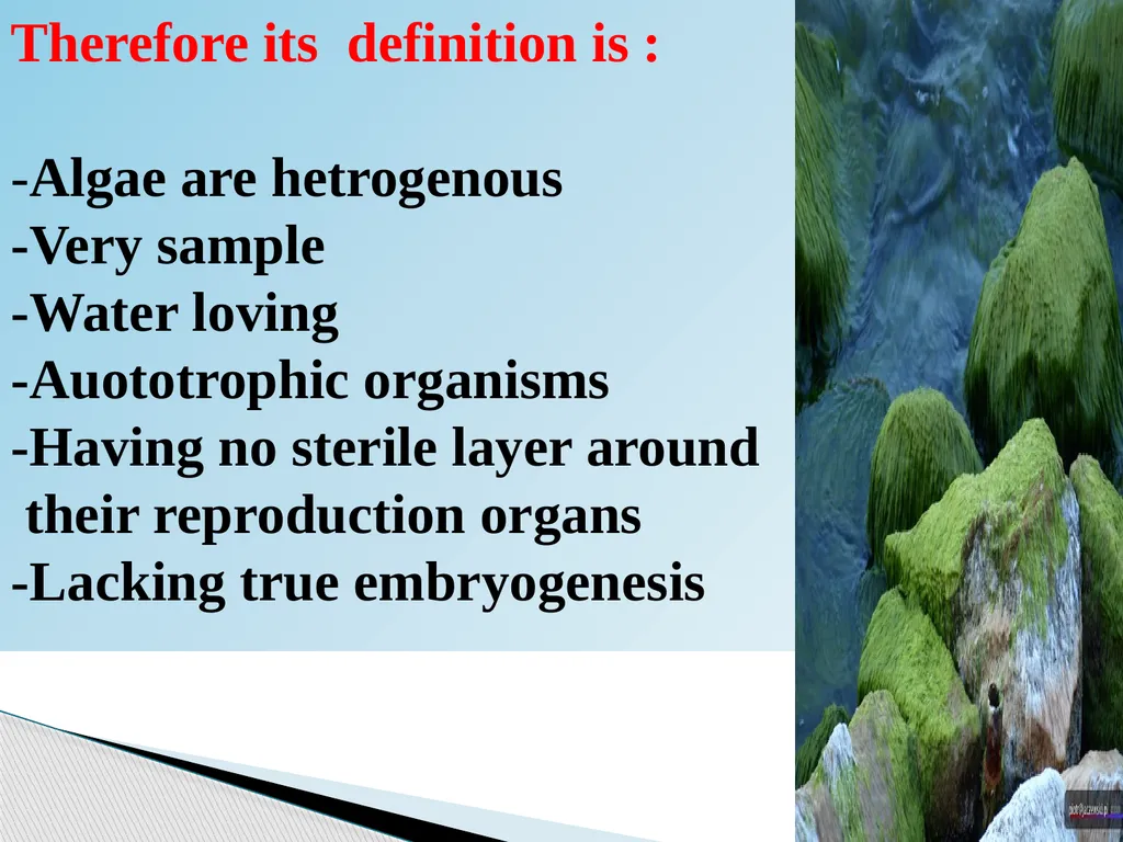 Algae An alga (singular for algae) is a plant-like - slide 3 of 37