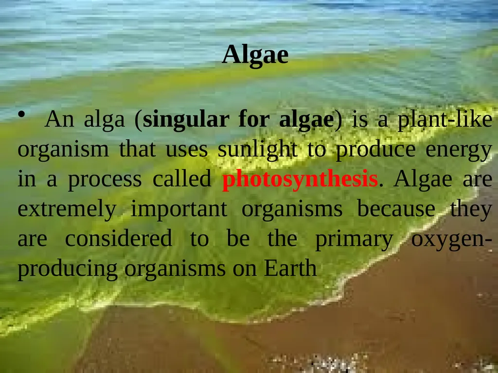 Algae An alga (singular for algae) is a plant-like