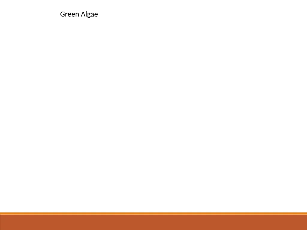 INTRODUCTION TO ALGAE Sukanya Sarma Assistant - slide 8 of 8