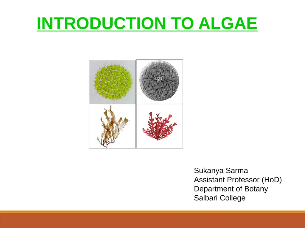 INTRODUCTION TO ALGAE Sukanya Sarma Assistant