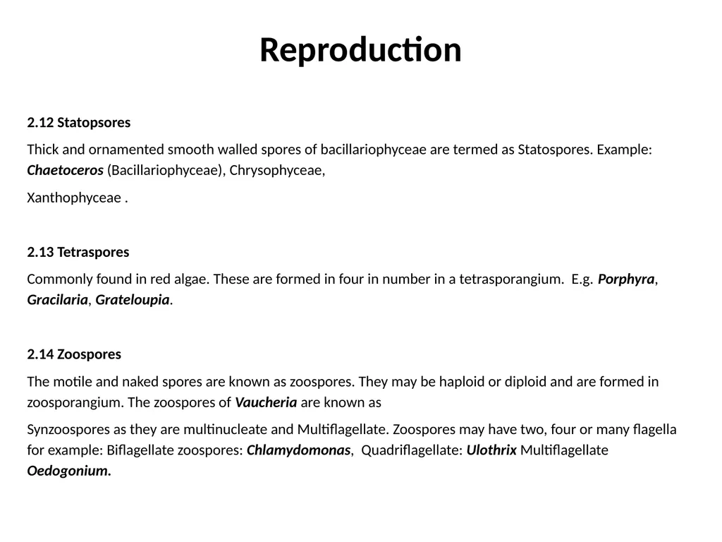 3rd Lecturer Phycology Reproduction Algae - slide 10 of 20