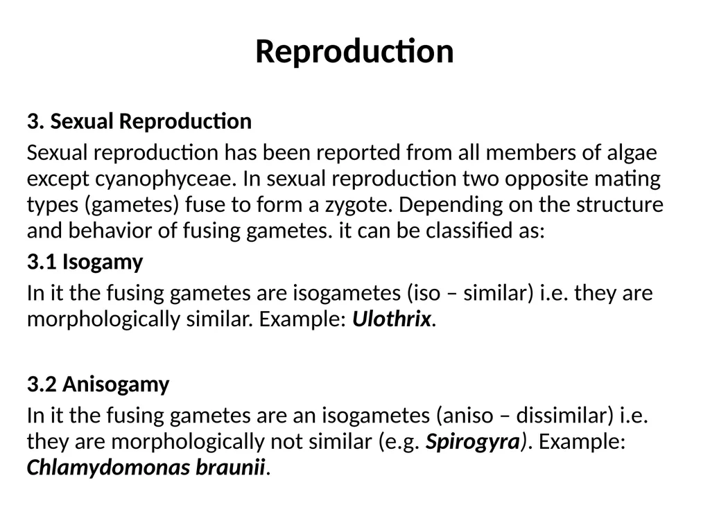 3rd Lecturer Phycology Reproduction Algae - slide 12 of 20