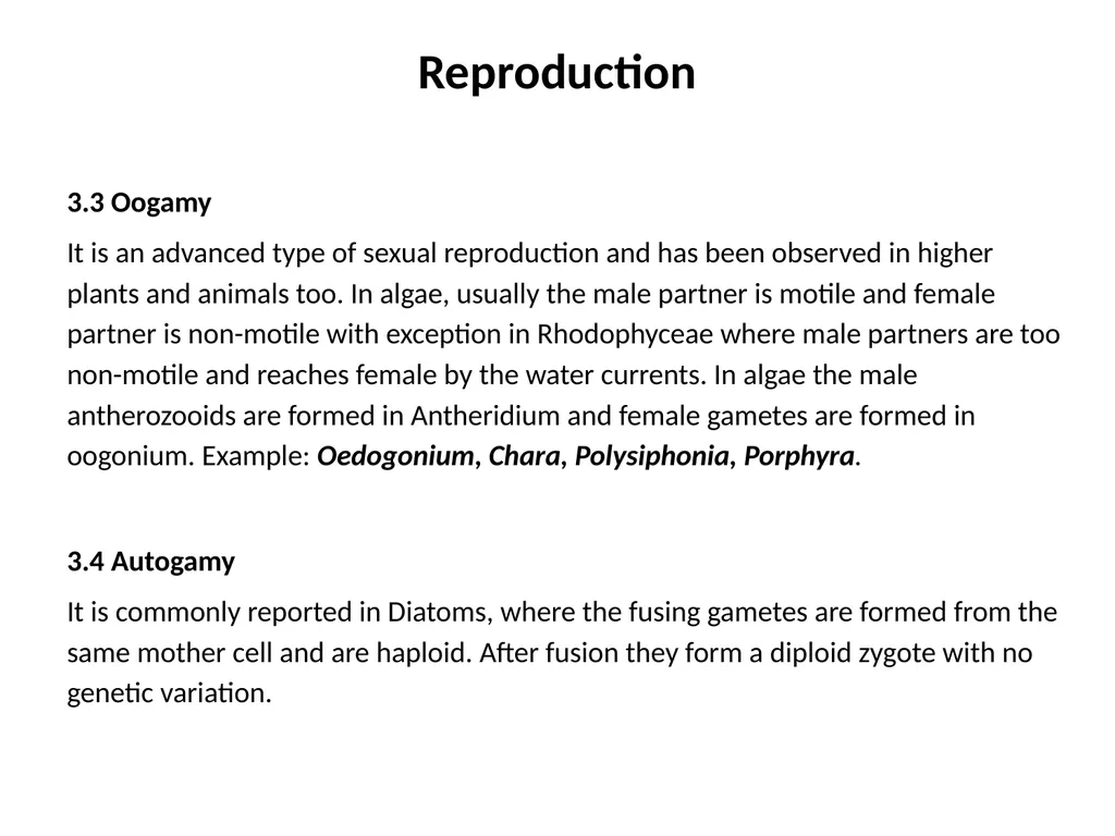 3rd Lecturer Phycology Reproduction Algae - slide 13 of 20