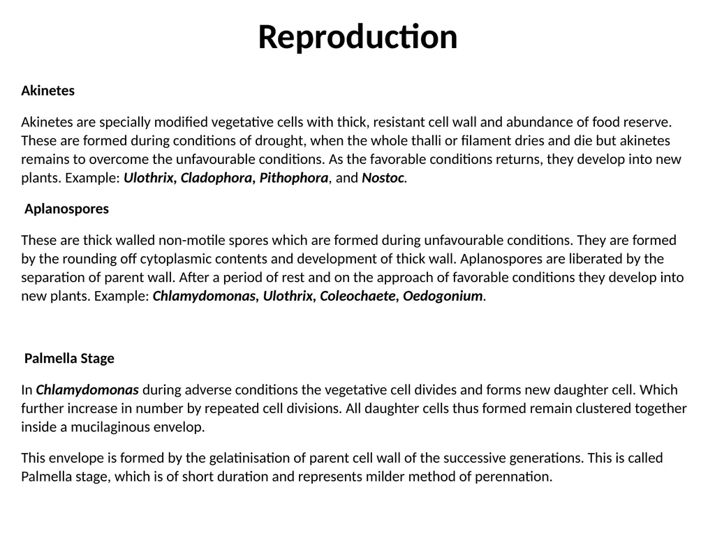 3rd Lecturer Phycology Reproduction Algae - slide 16 of 20