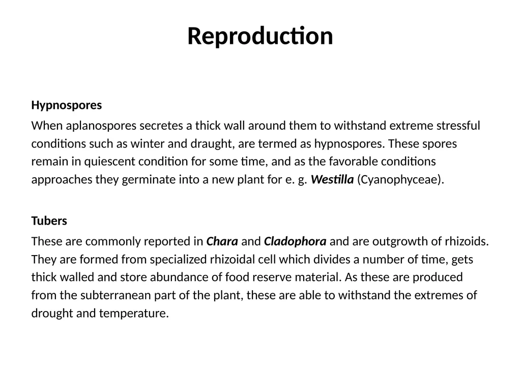 3rd Lecturer Phycology Reproduction Algae - slide 18 of 20