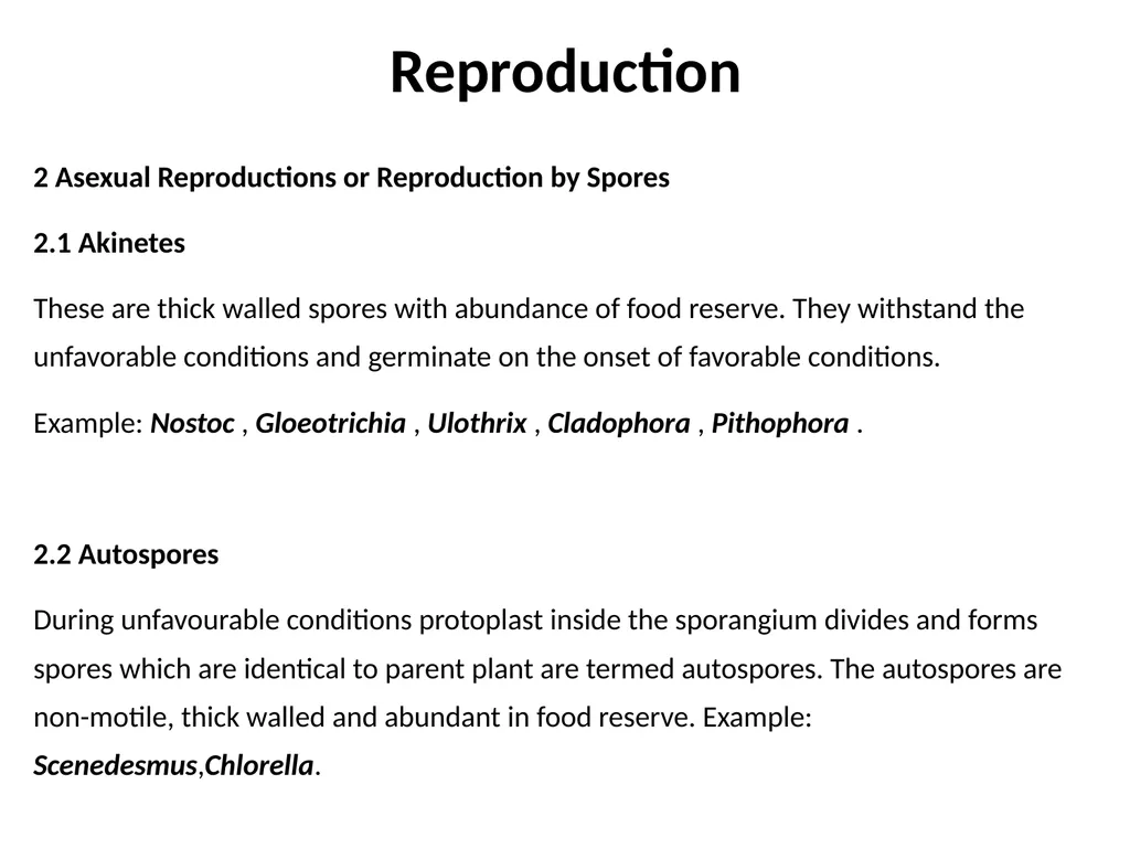 3rd Lecturer Phycology Reproduction Algae - slide 6 of 20