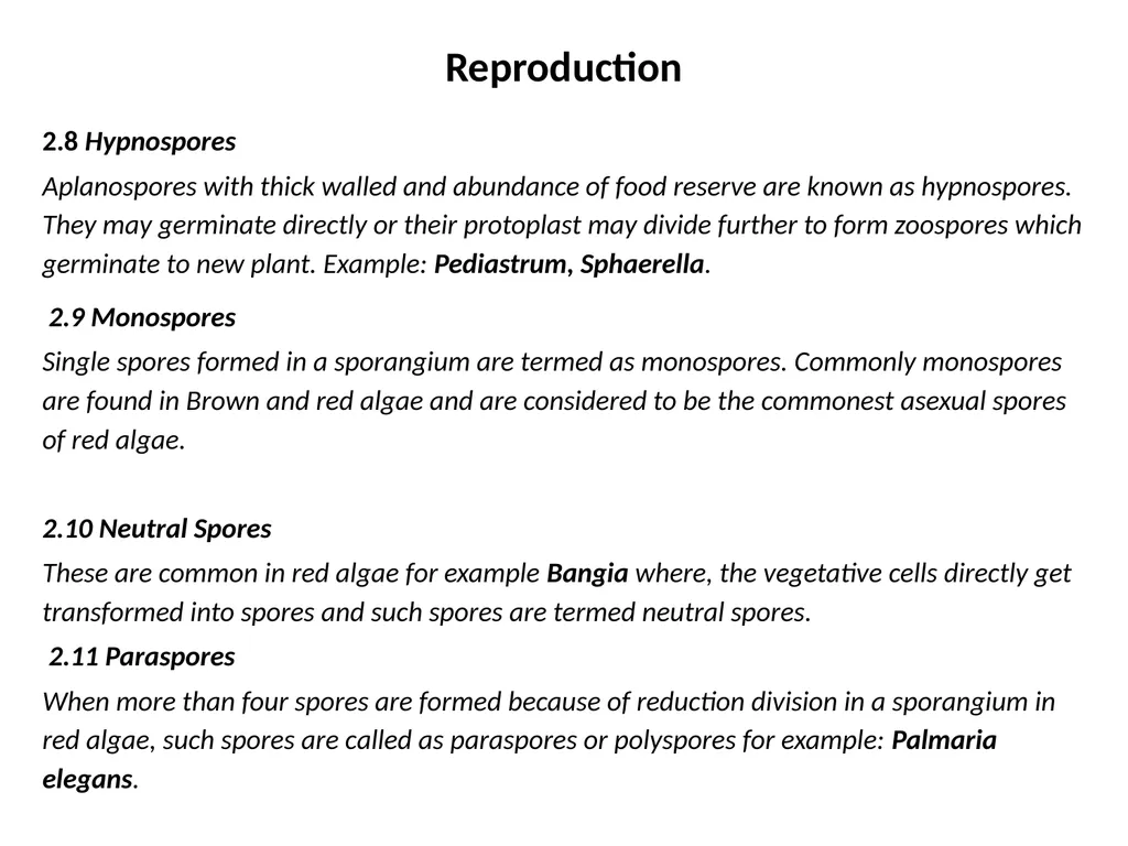 3rd Lecturer Phycology Reproduction Algae - slide 9 of 20