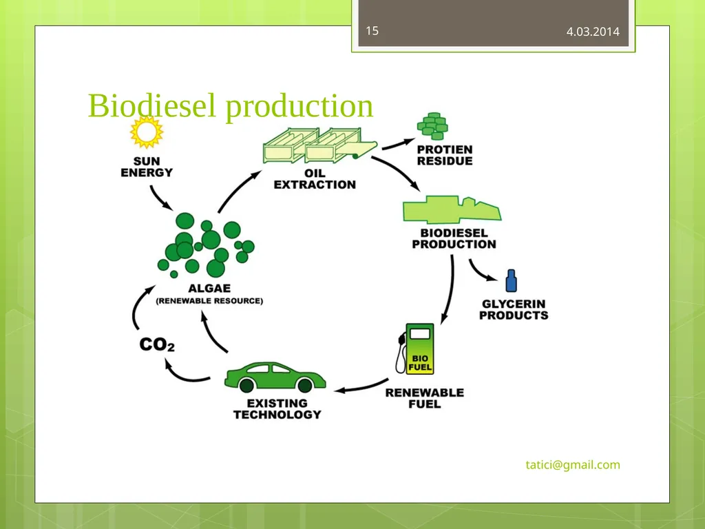 Introduction to Commercially Important - slide 15 of 22