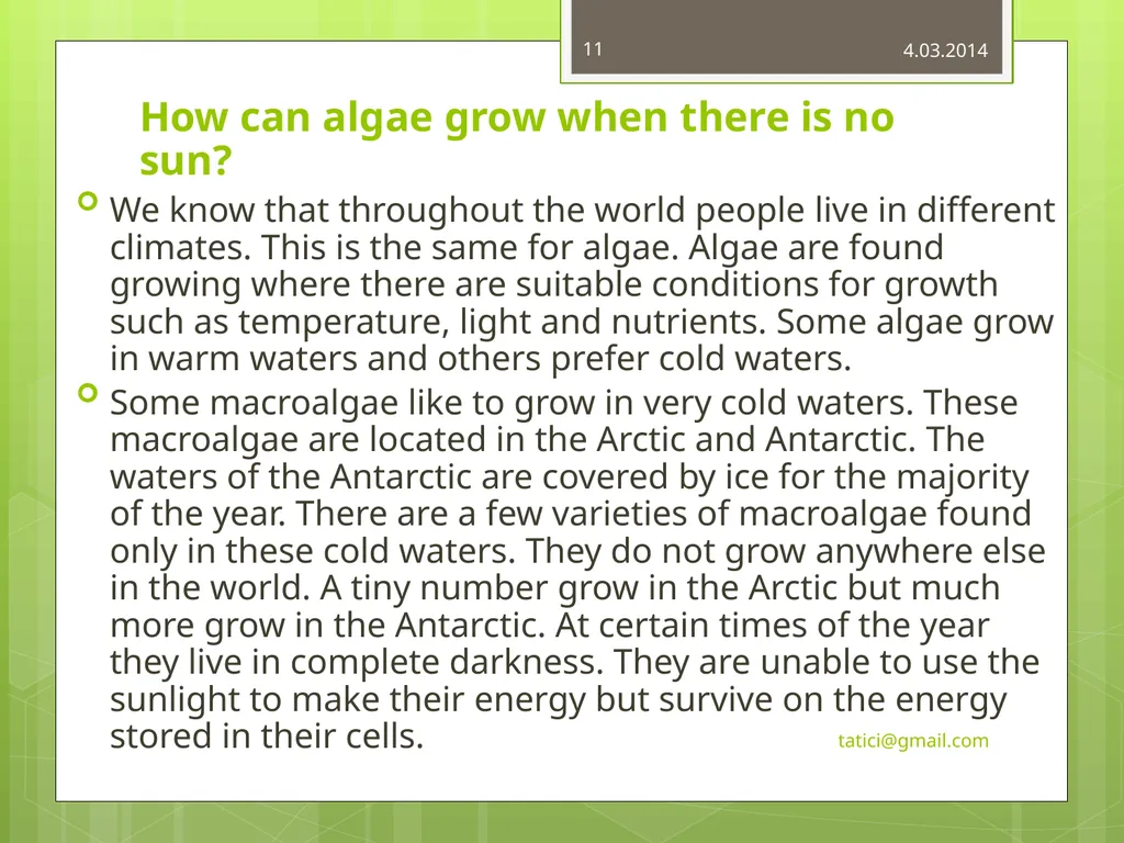 Introduction to Commercially Important - slide 11 of 22