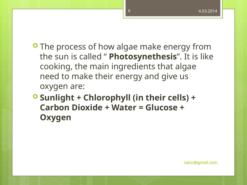 Introduction to Commercially Important - slide 6 of 22