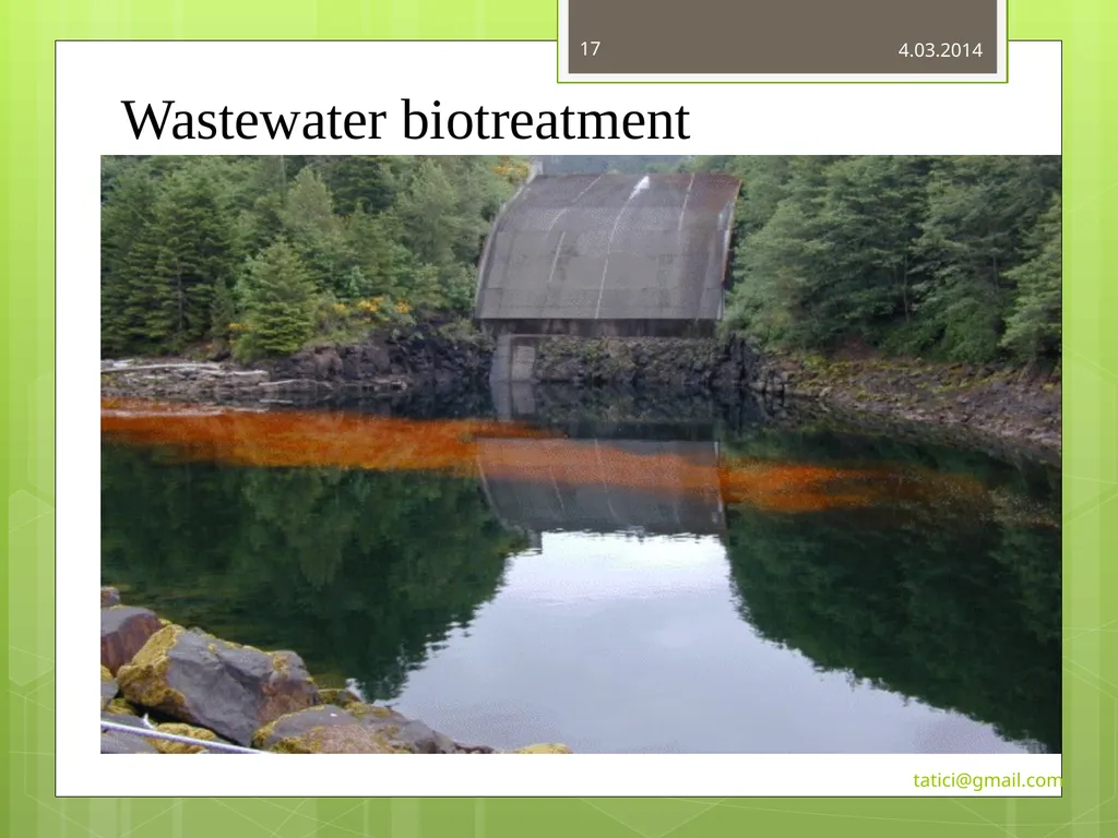 Introduction to Commercially Important - slide 17 of 22