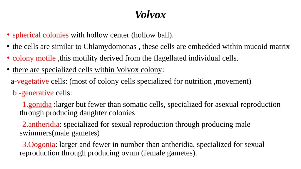 green algae( Division: chlorophyta ) Class: - slide 4 of 8