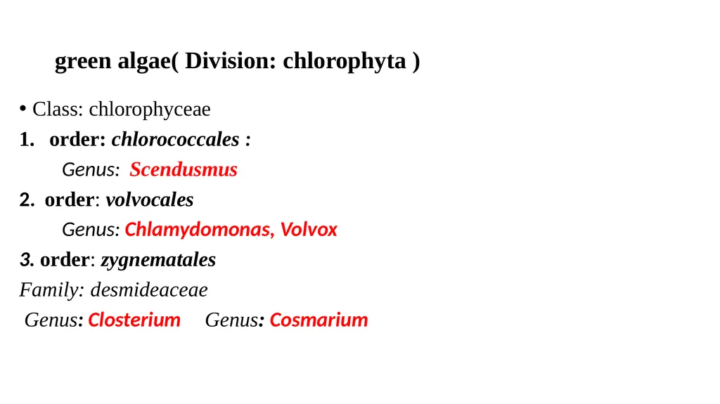green algae( Division: chlorophyta ) Class: - slide 1 of 8