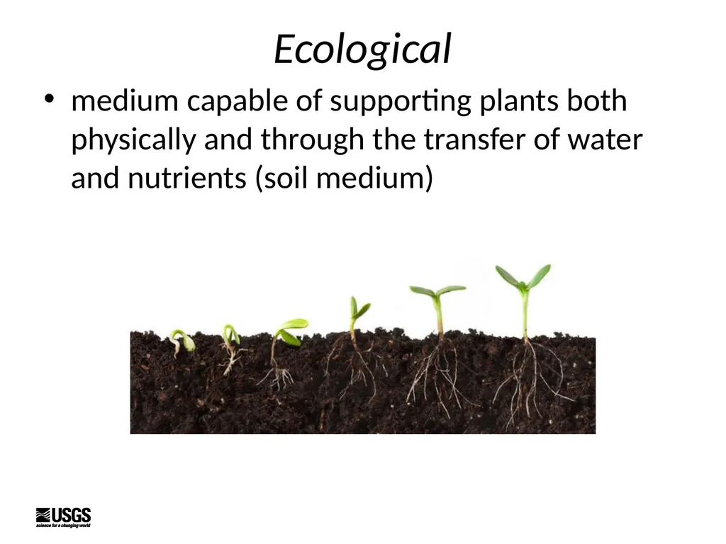 Introduction to Soils Kristen Manies (US - slide 4 of 24