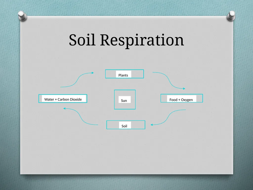Soil Respiration Unit: Soil Science Objectives - slide 5 of 15