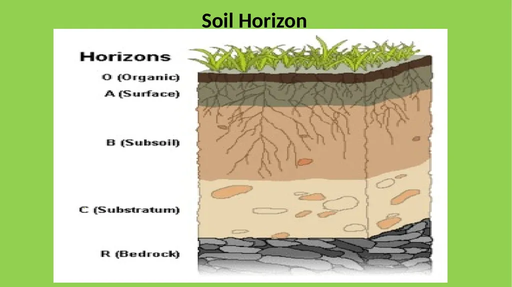 Basic Soils What is Soil? Comprised of solids - slide 7 of 12