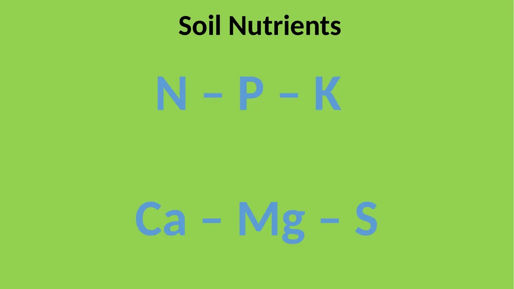 Basic Soils What is Soil? Comprised of solids - slide 12 of 12