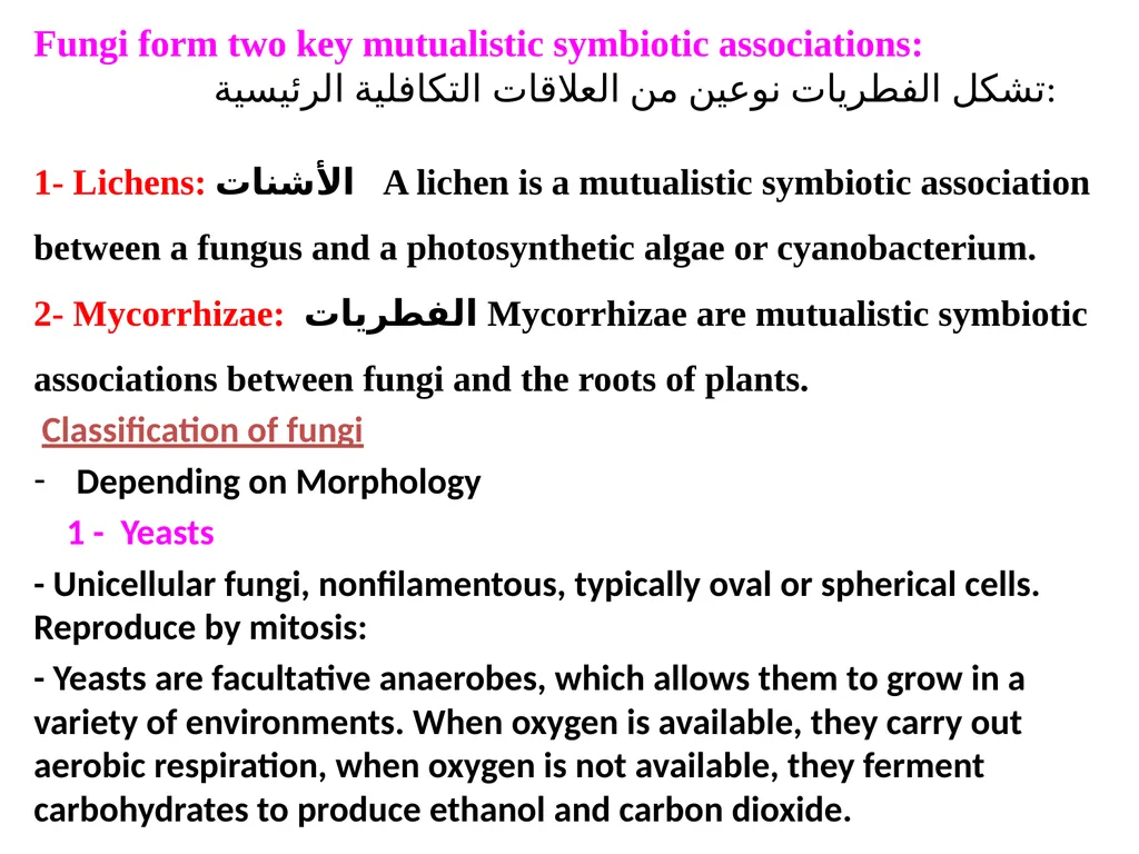 Lecture -11 Fungi Fungus: is a member of a large - slide 11 of 14