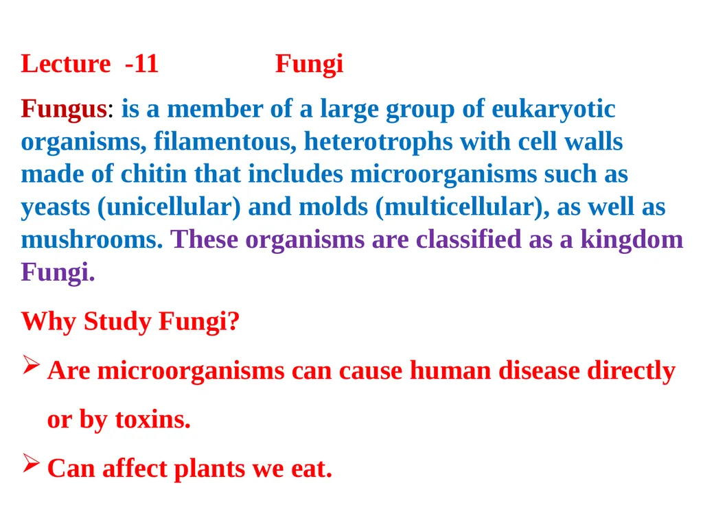 Lecture -11 Fungi Fungus: is a member of a large - slide 1 of 14