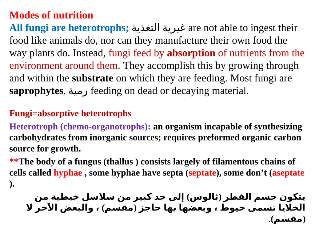 Lecture -11 Fungi Fungus: is a member of a large - slide 2 of 14