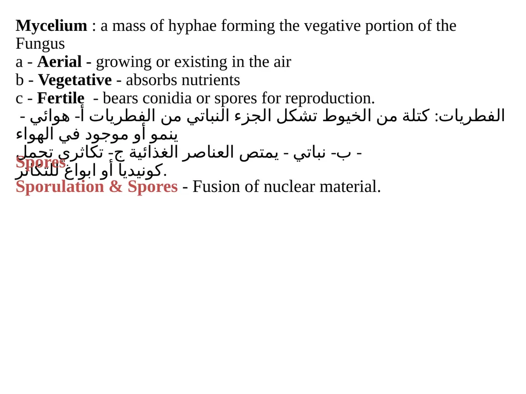 Lecture -11 Fungi Fungus: is a member of a large - slide 5 of 14