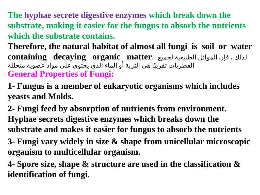 Lecture -11 Fungi Fungus: is a member of a large - slide 3 of 14
