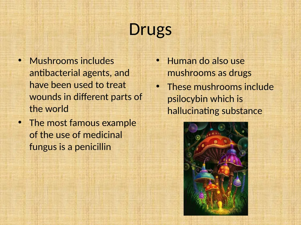 How do Finns use fungus? Fungus are really useful - slide 6 of 7