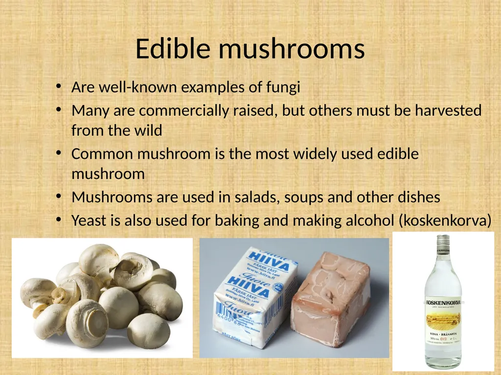 How do Finns use fungus? Fungus are really useful - slide 3 of 7