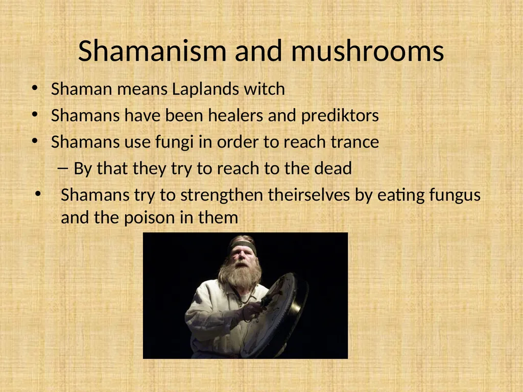How do Finns use fungus? Fungus are really useful - slide 7 of 7