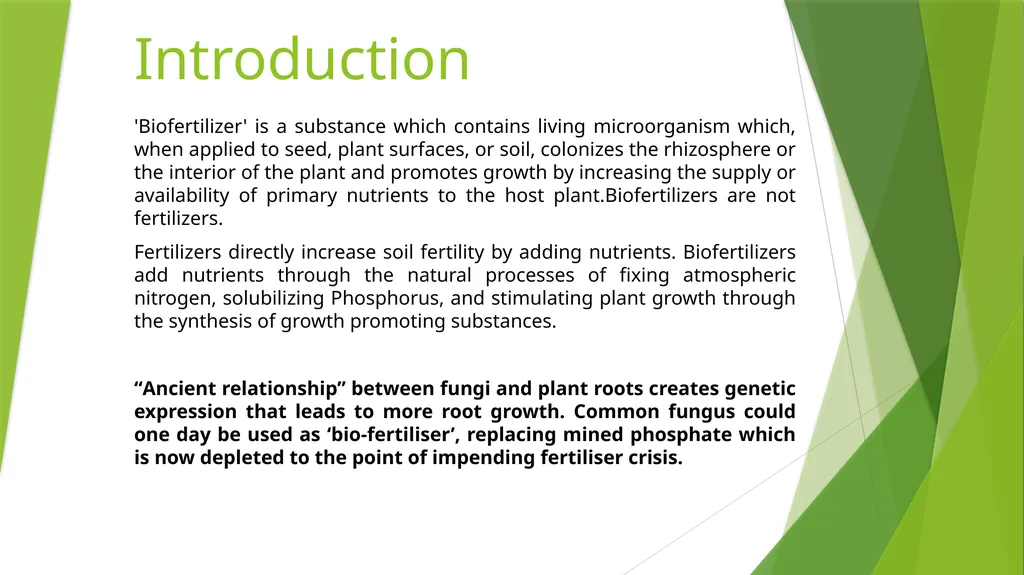Bioferilizers Komal Pareek Introduction - slide 2 of 9