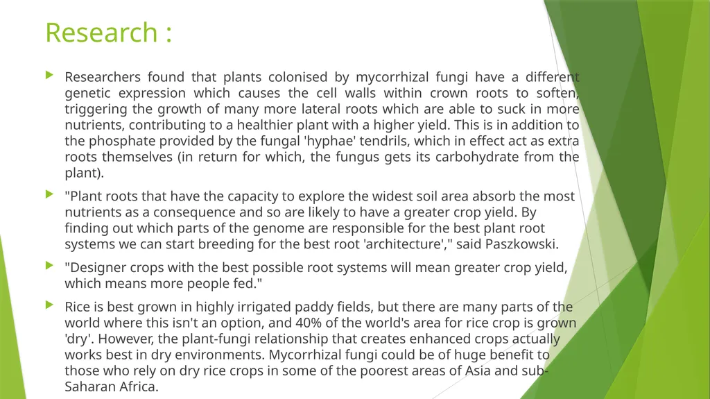 Bioferilizers Komal Pareek Introduction - slide 3 of 9