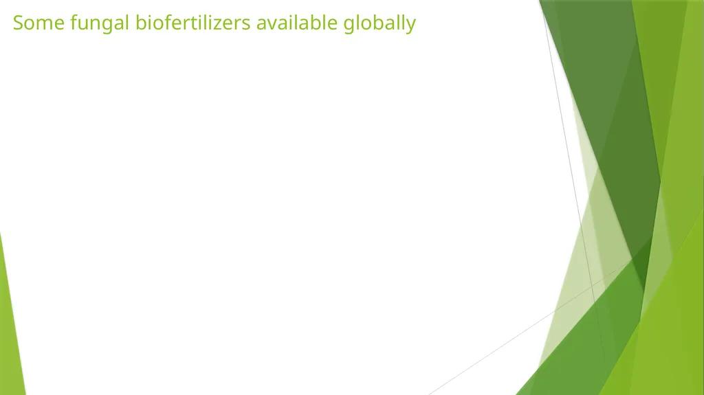 Bioferilizers Komal Pareek Introduction - slide 8 of 9