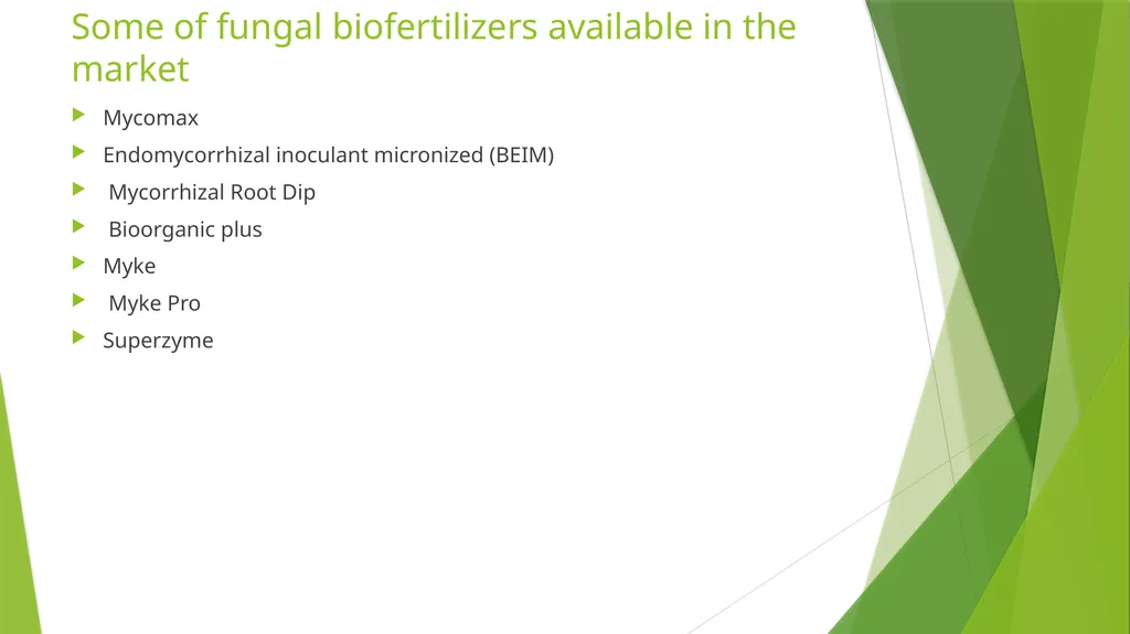 Bioferilizers Komal Pareek Introduction - slide 7 of 9