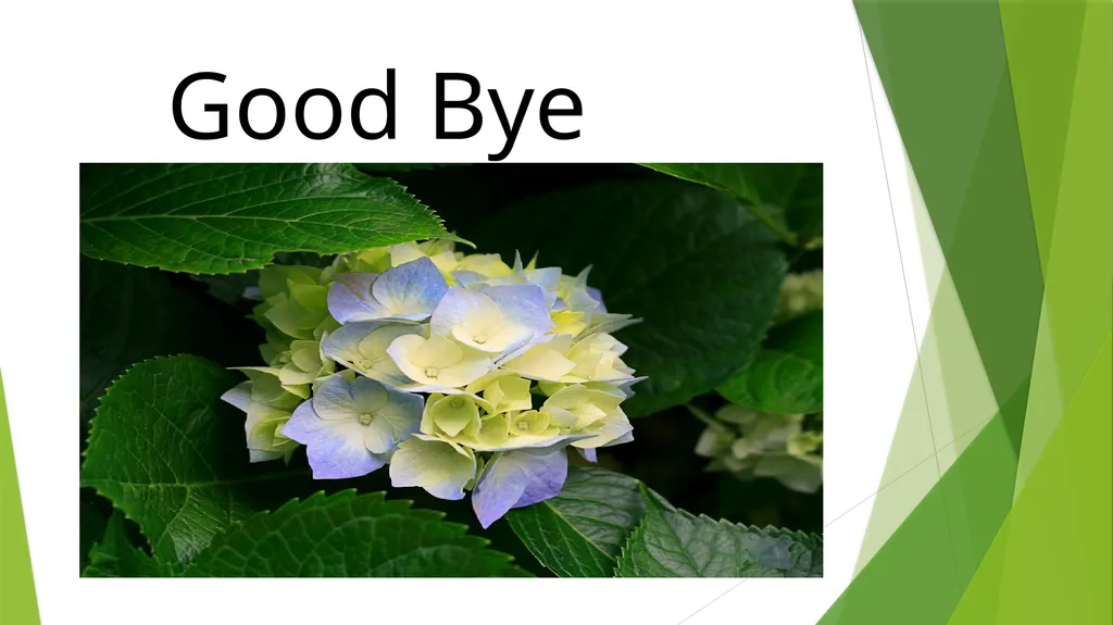 Welcome to everybody শিক্ষক পরিচিতি মোঃ আমজাদ - slide 19 of 19