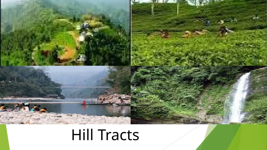 Welcome to everybody শিক্ষক পরিচিতি মোঃ আমজাদ - slide 11 of 19